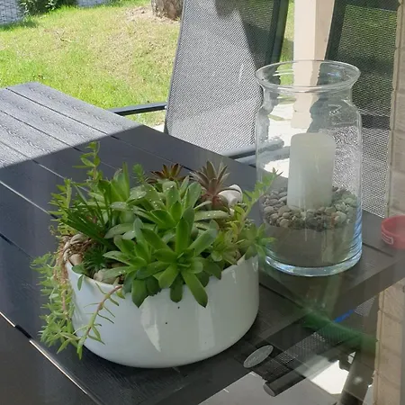 Turkusowy W Mielnie מיילנו